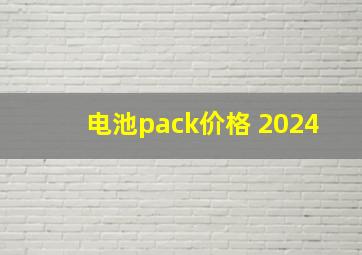 电池pack价格 2024